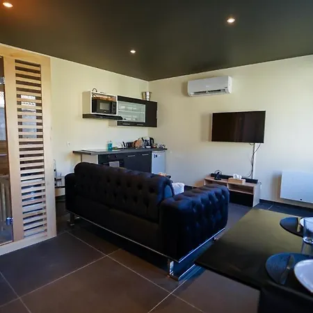 Magnifique Duplex Avec Jaccuzi, Sauna Et Cinema Privatif Appartement *