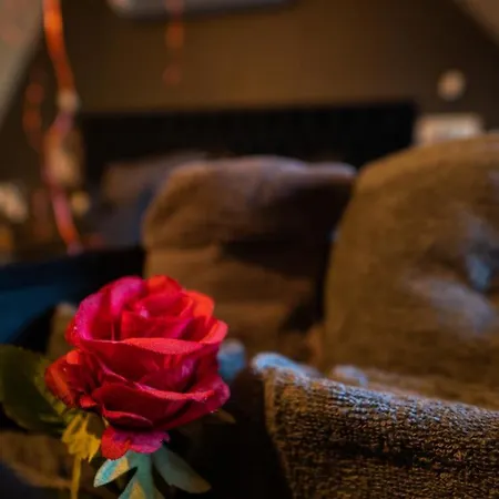 Magnifique Duplex Avec Jaccuzi, Sauna Et Cinema Privatif Appartement *